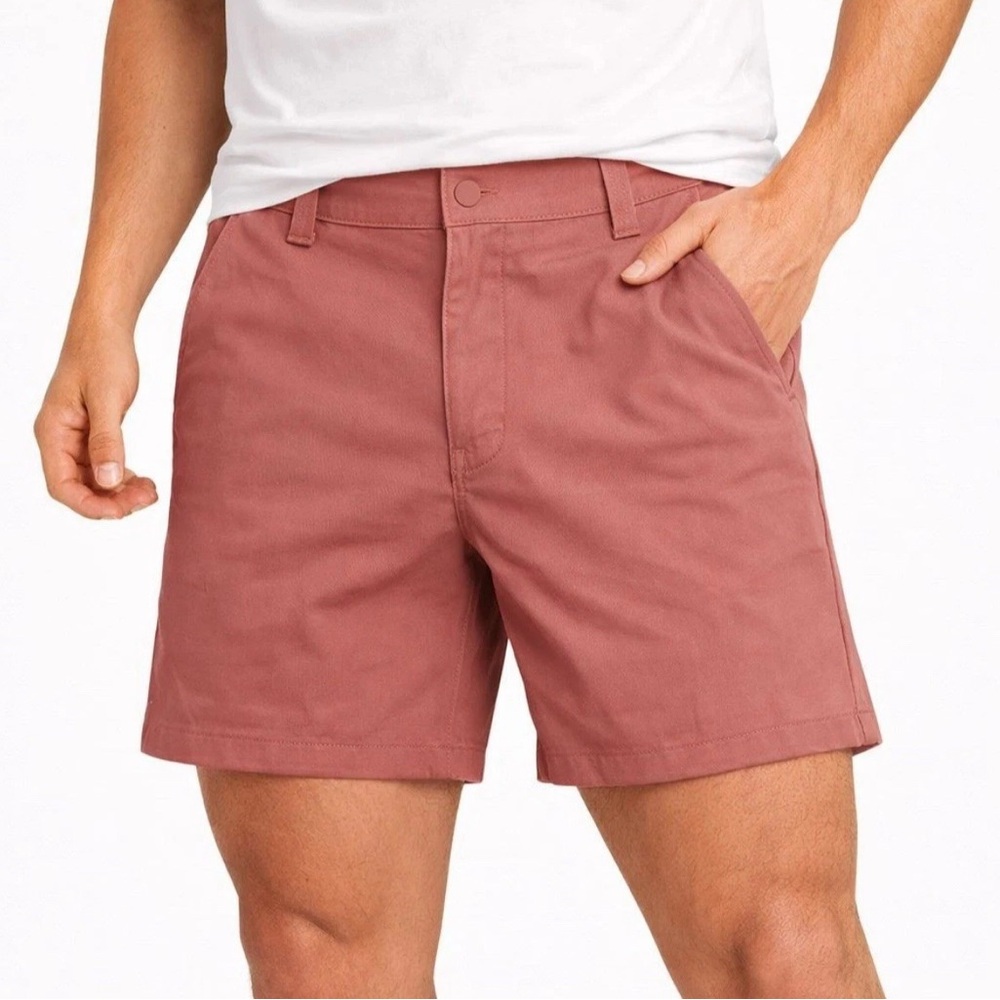 Rhone Commuter 9” Shorts Men’s Size 28 28x9 Mauve Outdoor Hiking New NWT - Picture 3 of 10